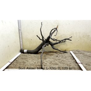 Sort Asian Moor Rod Large-XXLarge (WYSIWYG)