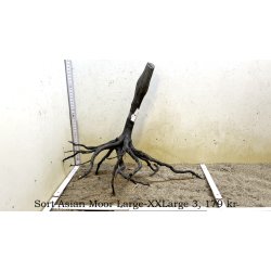 Sort Asian Moor Rod Large-XXLarge (WYSIWYG)