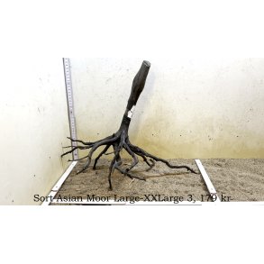 Sort Asian Moor Rod Large-XXLarge (WYSIWYG)