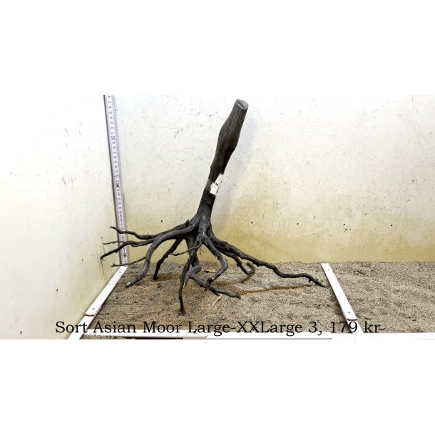 Sort Asian Moor Rod Large-XXLarge (WYSIWYG)