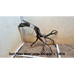 Sort Asian Moor Rod Large-XXLarge (WYSIWYG)