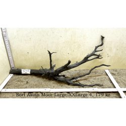 Sort Asian Moor Rod Large-XXLarge (WYSIWYG)