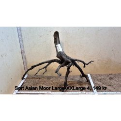 Sort Asian Moor Rod Large-XXLarge (WYSIWYG)