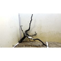 Sort Asian Moor Rod Large-XXLarge (WYSIWYG)