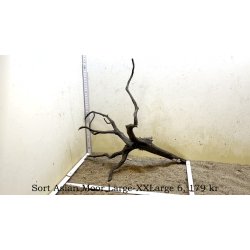 Sort Asian Moor Rod Large-XXLarge (WYSIWYG)