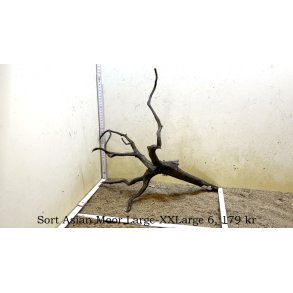 Sort Asian Moor Rod Large-XXLarge (WYSIWYG)