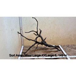 Sort Asian Moor Rod Large-XXLarge (WYSIWYG)