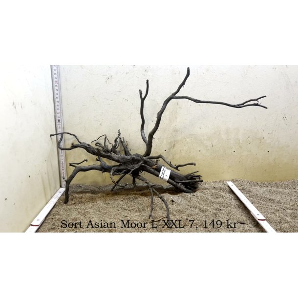 Sort Asian Moor Rod Large-XXLarge (WYSIWYG)