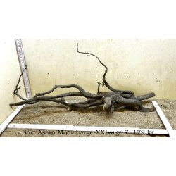 Sort Asian Moor Rod Large-XXLarge (WYSIWYG)