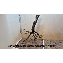 Sort Asian Moor Rod Large-XXLarge (WYSIWYG)