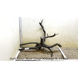 Sort Asian Moor Rod Large-XXLarge (WYSIWYG)