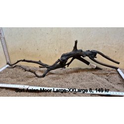 Sort Asian Moor Rod Large-XXLarge (WYSIWYG)