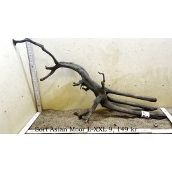 Sort Asian Moor Rod Large-XXLarge (WYSIWYG)