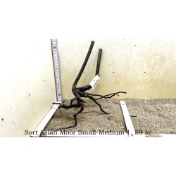 Sort Asian Moor Rod Small-Medium (WYSIWYG)