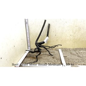 Sort Asian Moor Rod Small-Medium (WYSIWYG)