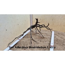 Sort Asian Moor Rod Small-Medium (WYSIWYG)
