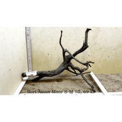 Sort Asian Moor Rod Small-Medium (WYSIWYG)