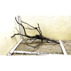 Sort Asian Moor Rod Small-Medium (WYSIWYG)