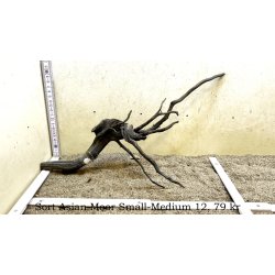 Sort Asian Moor Rod Small-Medium (WYSIWYG)