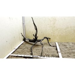 Sort Asian Moor Rod Small-Medium (WYSIWYG)