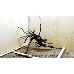 Sort Asian Moor Rod Small-Medium (WYSIWYG)