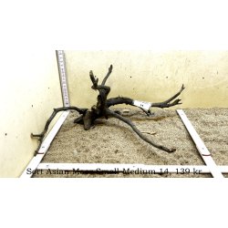 Sort Asian Moor Rod Small-Medium (WYSIWYG)