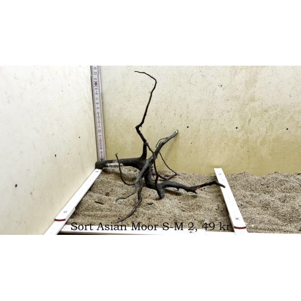 Sort Asian Moor Rod Small-Medium (WYSIWYG)