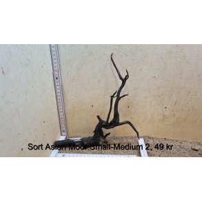 Sort Asian Moor Rod Small-Medium (WYSIWYG)