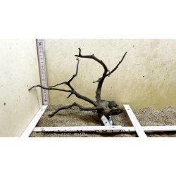 Sort Asian Moor Rod Small-Medium (WYSIWYG)