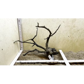 Sort Asian Moor Rod Small-Medium (WYSIWYG)