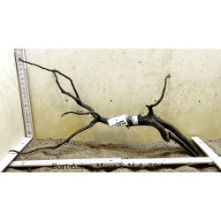 Sort Asian Moor Rod Small-Medium (WYSIWYG)