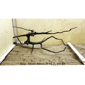 Sort Asian Moor Rod Small-Medium (WYSIWYG)