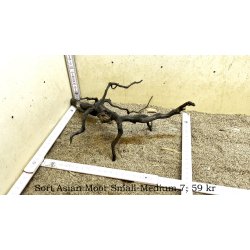 Sort Asian Moor Rod Small-Medium (WYSIWYG)