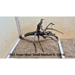 Sort Asian Moor Rod Small-Medium (WYSIWYG)