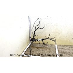 Sort Asian Moor Rod Small-Medium (WYSIWYG)