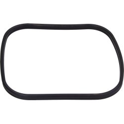 Oase Spare part main gasket BioMaster (45148)