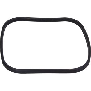 Oase Spare part main gasket BioMaster (45148)