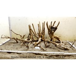 Spiderwood Island (WYSIWYG)