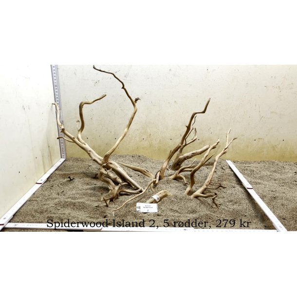 Spiderwood Island (WYSIWYG)