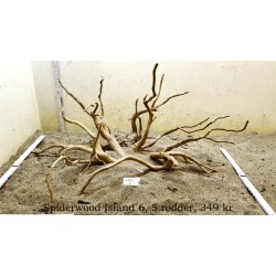 Spiderwood Island (WYSIWYG)