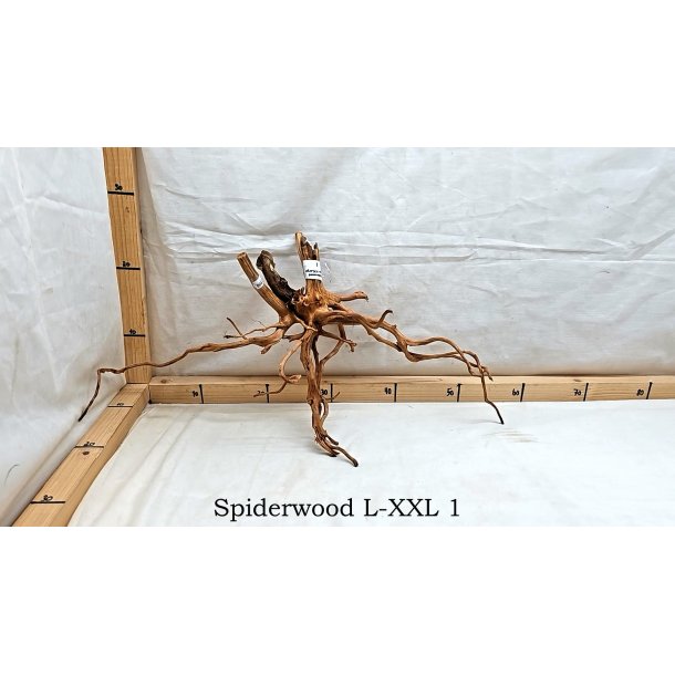 Spiderwood Rod Large-XXLarge (WYSIWYG)