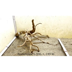 Spiderwood Rod Large-XXLarge (WYSIWYG)