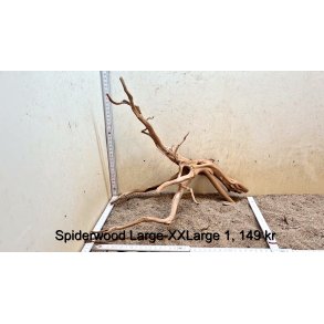 Spiderwood Rod Large-XXLarge (WYSIWYG)