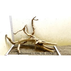 Spiderwood Rod Large-XXLarge (WYSIWYG)