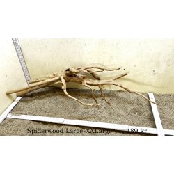 Spiderwood Rod Large-XXLarge (WYSIWYG)