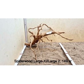 Spiderwood Rod Large-XXLarge (WYSIWYG)
