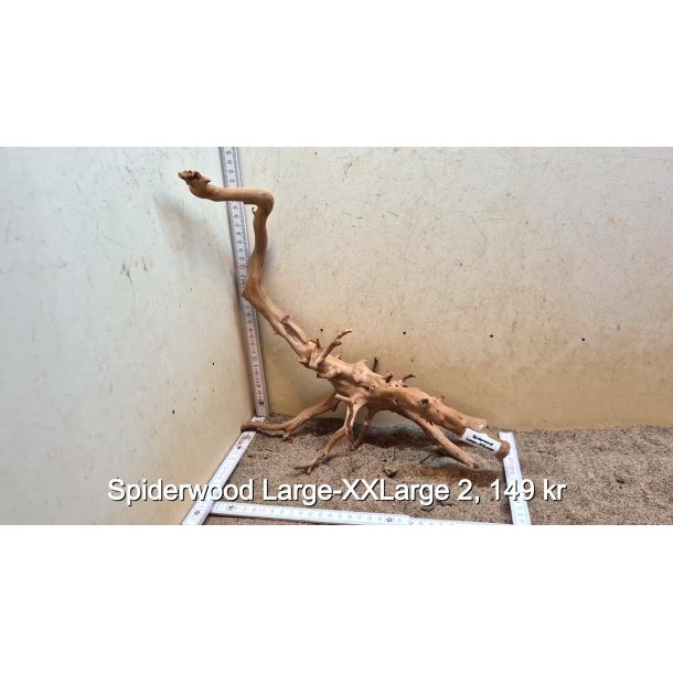 Spiderwood Rod Large-XXLarge (WYSIWYG)