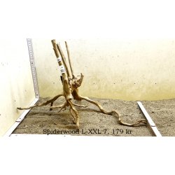 Spiderwood Rod Large-XXLarge (WYSIWYG)