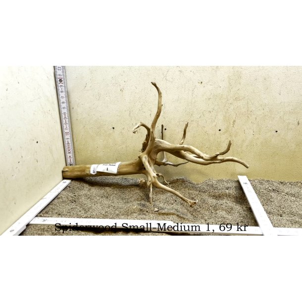 Spiderwood Rod Small-Medium (WYSIWYG)