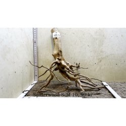 Spiderwood Rod Small-Medium (WYSIWYG)